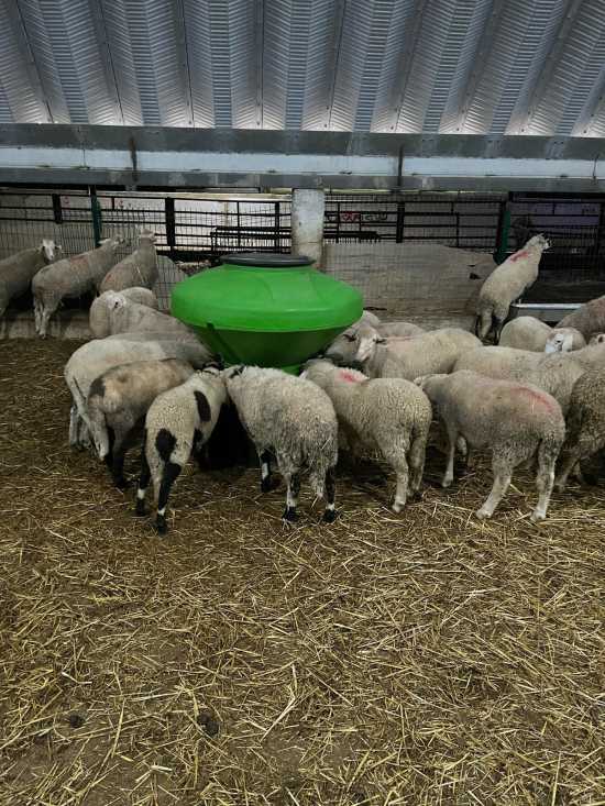 Küçükbaş Plastik Otomatik Akıllı Yemlik